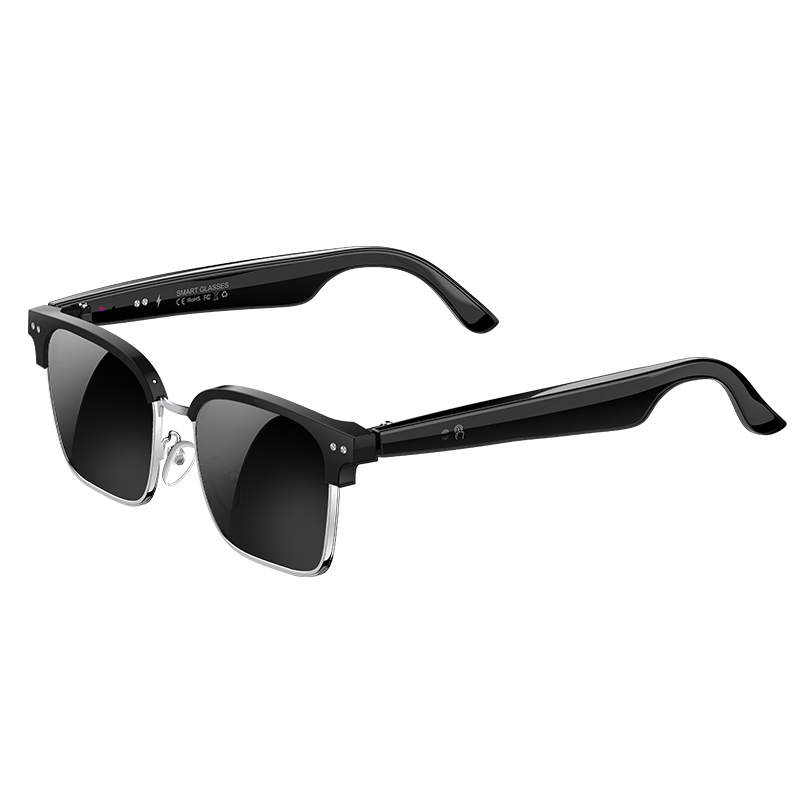 Speaker Enclosure - W100D AI Smart Glasses Real Time