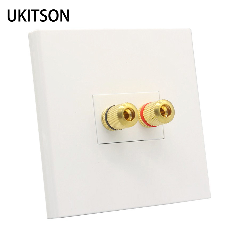 Audio Speaker Wall Panel Termi - Banana Plug review and price