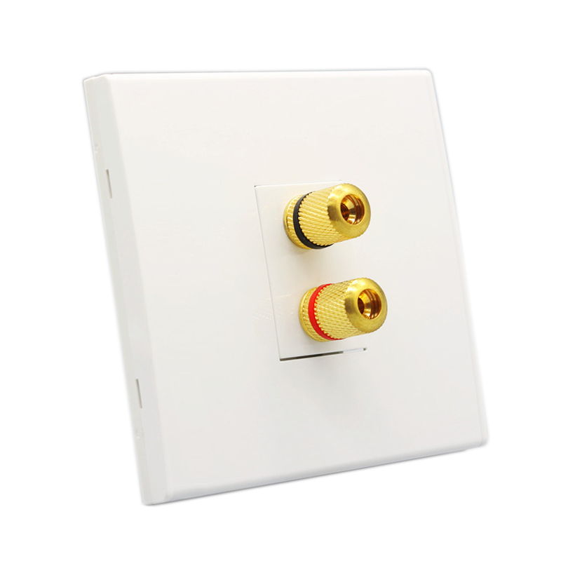 Audio Speaker Wall Panel Termi - Banana Plug review and price