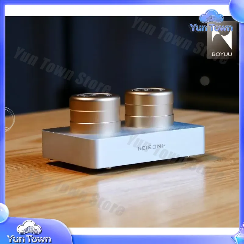 for Boyuu BYPT2T for Reisong P - Passive Preamp review and price