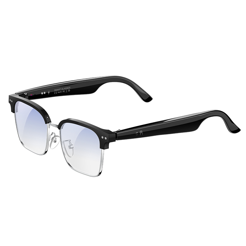 W100D AI Smart Glasses Real Ti - Speaker Enclosure review and price