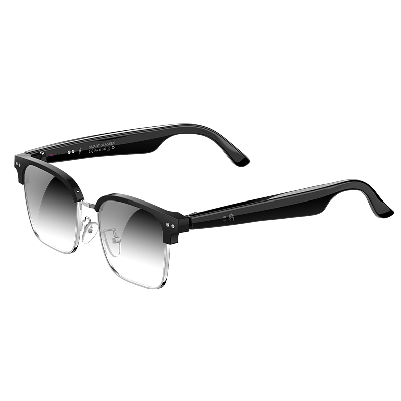 W100D AI Smart Glasses Real Ti - Speaker Enclosure review and price